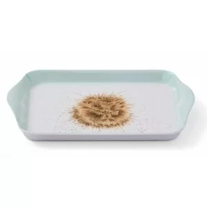 Side angle view of small scatter tray with a hedgehog by Wrendale