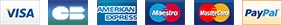 Payment Logo